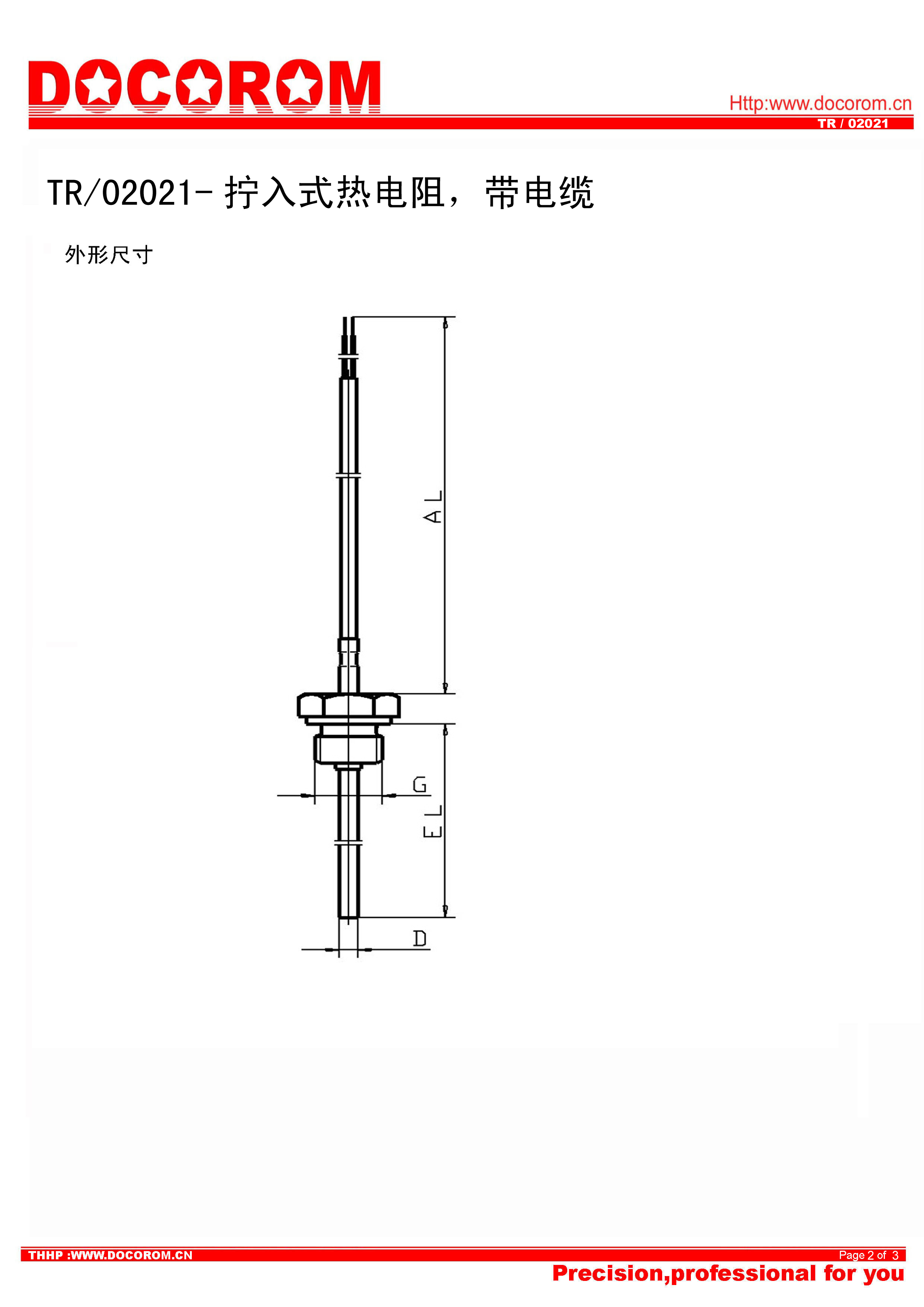 TR02021-擰入式熱電阻，帶電纜-2.jpg